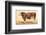 Boeuf-Comtoise-null-Framed Art Print