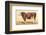 Boeuf-Comtoise-null-Framed Art Print