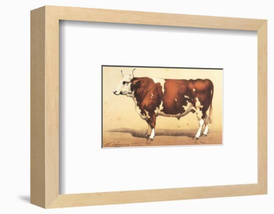 Boeuf-Comtoise-null-Framed Art Print