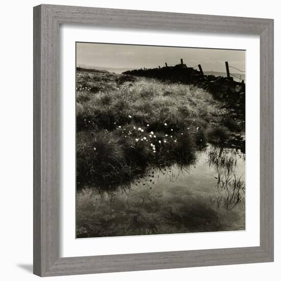 Bog Cotton, Bridestones Moor-Fay Godwin-Framed Giclee Print