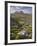 Bog Wetlands with Suilven Mountain at Dawn, Assynt Mountains, Highland, Scotland, UK, June-Joe Cornish-Framed Photographic Print