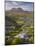 Bog Wetlands with Suilven Mountain at Dawn, Assynt Mountains, Highland, Scotland, UK, June-Joe Cornish-Mounted Photographic Print