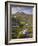 Bog Wetlands with Suilven Mountain at Dawn, Assynt Mountains, Highland, Scotland, UK, June-Joe Cornish-Framed Photographic Print