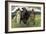 Bogatyrs, 1898-Viktor Mikhaylovich Vasnetsov-Framed Giclee Print