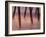 Bogie Inlet Fishing Pier in Emerald Isle, North Carolina at Sunrise-Melissa Southern-Framed Photographic Print