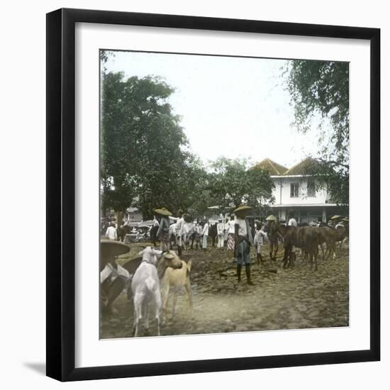 Bogor (Island of Java, Indonesia), the Horse Market, around 1900-Leon, Levy et Fils-Framed Photographic Print