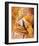 Boheme Evening-Joadoor-Framed Art Print