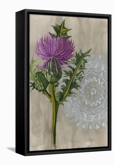 Bohemian Botanical II-Naomi McCavitt-Framed Stretched Canvas