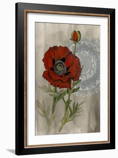 Bohemian Botanical III-Naomi McCavitt-Framed Art Print