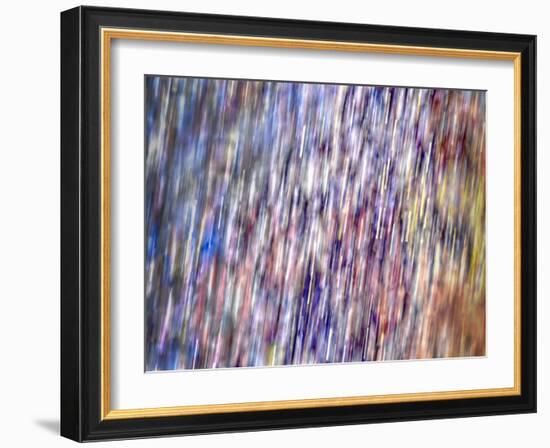 Bohemian Spirits II-Eva Bane-Framed Art Print