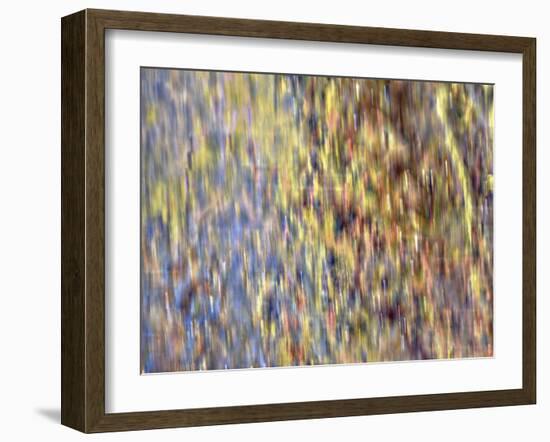 Bohemian Spirits IV-Eva Bane-Framed Art Print