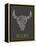 Bohemian Style Bull Skull Poster-Marish-Framed Stretched Canvas