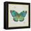 Bohemian Wings Butterfly VA-Daphne Brissonnet-Framed Stretched Canvas