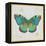 Bohemian Wings Butterfly VA-Daphne Brissonnet-Framed Stretched Canvas