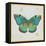 Bohemian Wings Butterfly VA-Daphne Brissonnet-Framed Stretched Canvas
