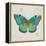 Bohemian Wings Butterfly VA-Daphne Brissonnet-Framed Stretched Canvas