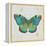 Bohemian Wings Butterfly VA-Daphne Brissonnet-Framed Stretched Canvas