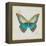 Bohemian Wings Butterfly VIA-Daphne Brissonnet-Framed Stretched Canvas