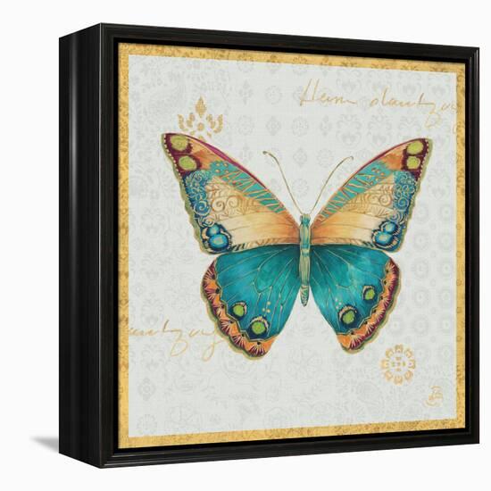 Bohemian Wings Butterfly VIA-Daphne Brissonnet-Framed Stretched Canvas
