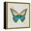 Bohemian Wings Butterfly VIA-Daphne Brissonnet-Framed Stretched Canvas