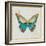 Bohemian Wings Butterfly VIA-Daphne Brissonnet-Framed Premium Giclee Print