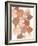 Boho Beautiful II Brown-Moira Hershey-Framed Art Print