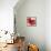 Boho Bloom-Bella Dos Santos-Framed Stretched Canvas displayed on a wall