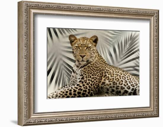 Boho Cheetah-Danita Delimont-Framed Photo
