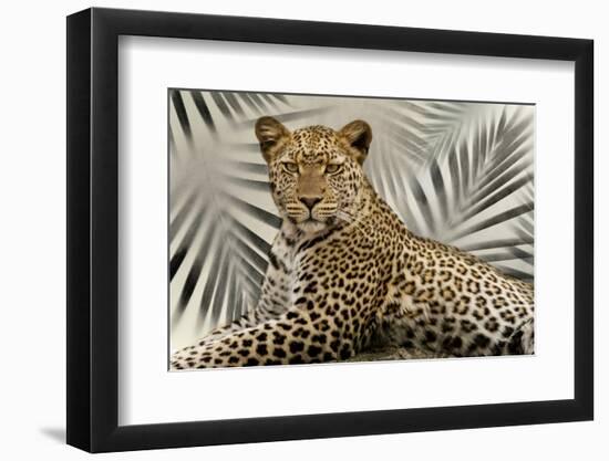 Boho Cheetah-Danita Delimont-Framed Photo