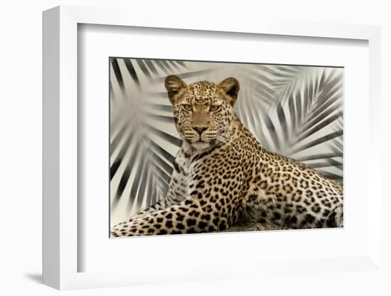 Boho Cheetah-Danita Delimont-Framed Photo