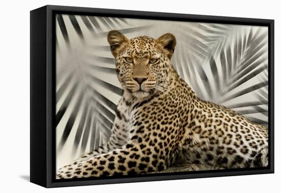 Boho Cheetah-Danita Delimont-Framed Stretched Canvas