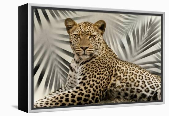 Boho Cheetah-Danita Delimont-Framed Stretched Canvas