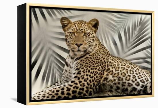 Boho Cheetah-Danita Delimont-Framed Stretched Canvas