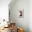 Boho Living - Bowl-Dana Shek-Mounted Giclee Print displayed on a wall