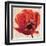 Boho Poppy-Bella Dos Santos-Framed Art Print