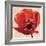 Boho Poppy-Bella Dos Santos-Framed Art Print