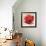 Boho Poppy-Bella Dos Santos-Framed Art Print displayed on a wall