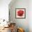 Boho Poppy-Bella Dos Santos-Framed Art Print displayed on a wall