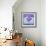 Boho Whales-Wyanne-Framed Giclee Print displayed on a wall