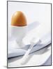 Boiled Egg in Egg Cup-Strehlau-Ferfers-Mounted Photographic Print