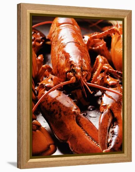 Boiled Lobsters-null-Framed Premier Image Canvas