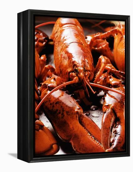 Boiled Lobsters-null-Framed Premier Image Canvas