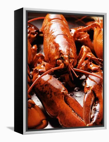 Boiled Lobsters-null-Framed Premier Image Canvas