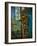 Boiler Room-Nathan Wright-Framed Photographic Print