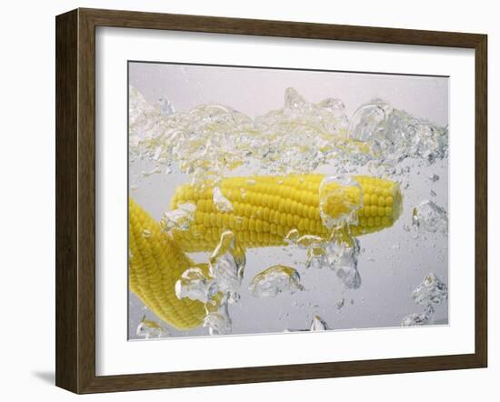 Boiling Sweetcorn, 2003-Norman Hollands-Framed Photographic Print