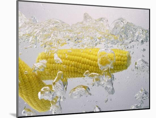 Boiling Sweetcorn, 2003-Norman Hollands-Mounted Photographic Print