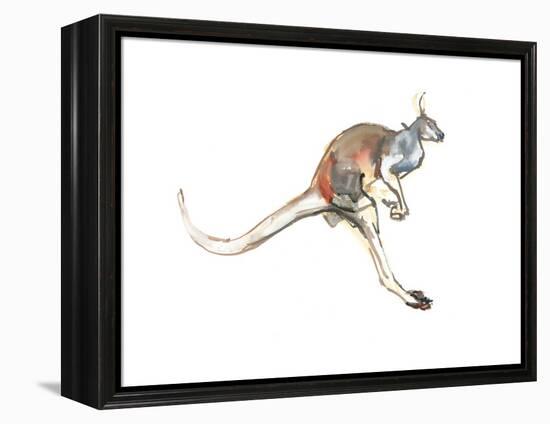 Boing, (Red Kangaroo), 2012-Mark Adlington-Framed Premier Image Canvas