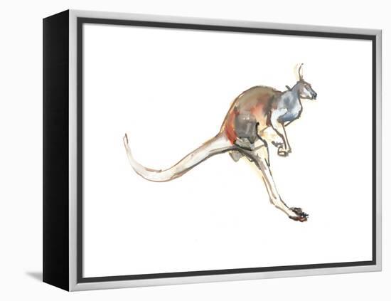 Boing, (Red Kangaroo), 2012-Mark Adlington-Framed Premier Image Canvas