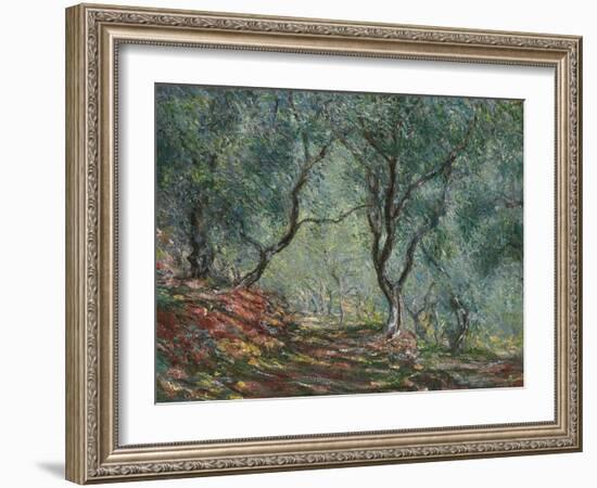 Bois D'Oliviers Au Jardin Moreno, 1884-Claude Monet-Framed Giclee Print