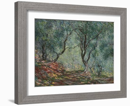 Bois D'Oliviers Au Jardin Moreno, 1884-Claude Monet-Framed Giclee Print